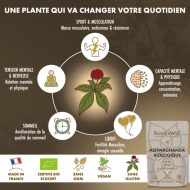 Ashwagandha Biologique KSM-66® – Stress, Sommeil & Vitalité – 90 gélules – Image 3