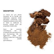 Costus Indien – Racine Naturelle en Poudre – Santé & Bien-être – 100 g – Image 2